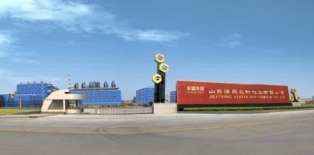 山东海天生物化工有限公司